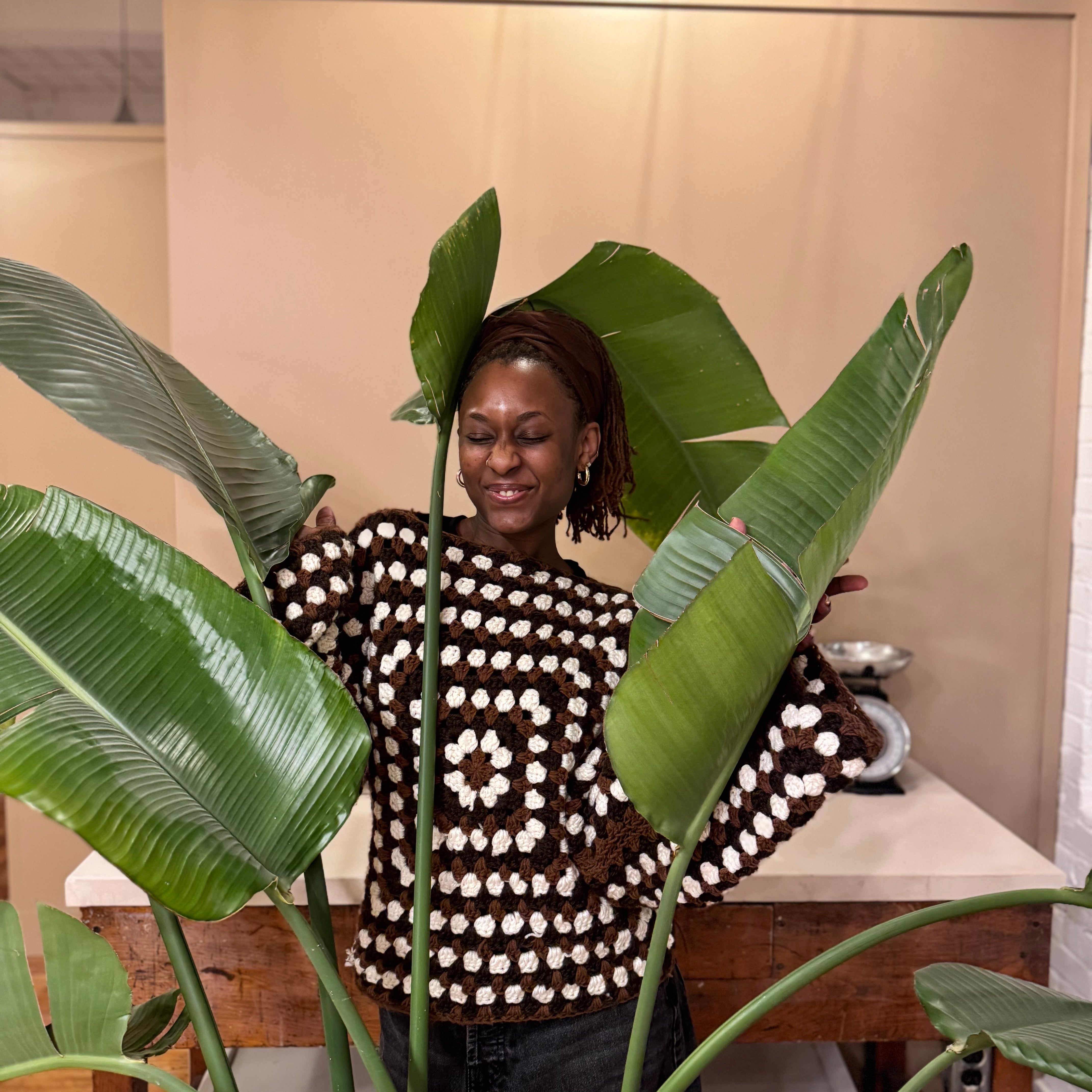 A woman wearing a brown and white patterned knit sweater stands behind a large green tropical plant in an indoor studio or showroom setting.